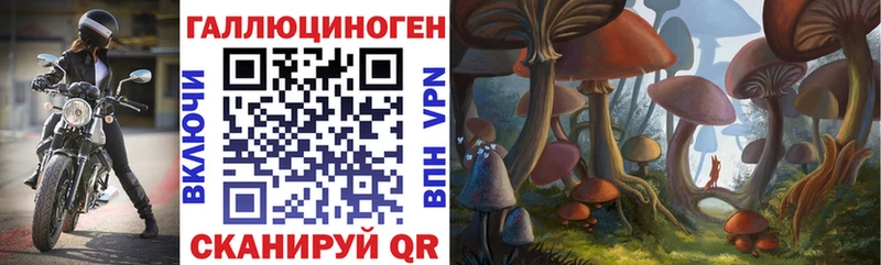 Галлюциногенные грибы Psilocybe  Купить  Шацк 