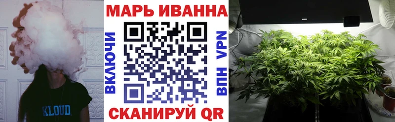 Канабис сатива  Купить где  Шацк 